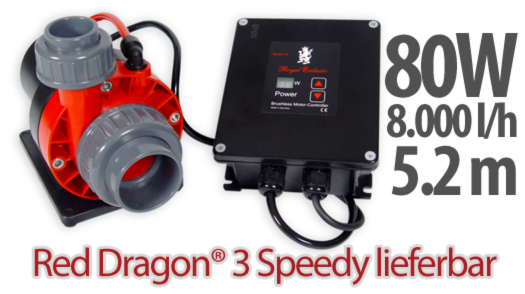 Red Dragon Speedy 3