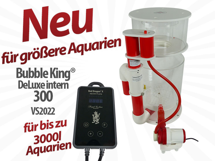 Royal Exclusiv Bubble King BK DeLuxe 300 Red Dragon X RDX