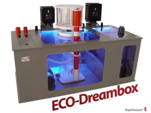 ECO Dreambox