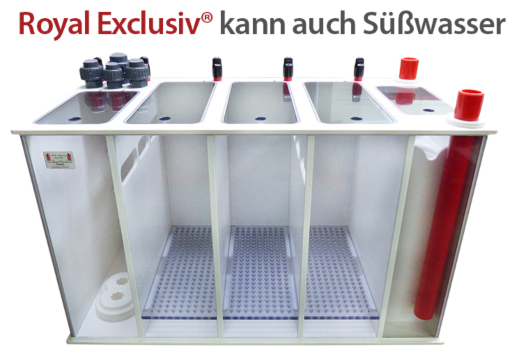 Royal Exclusiv kann auch Suesswasser