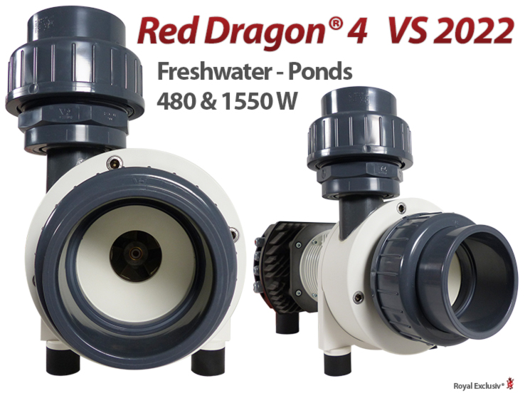 Royal Exclusiv Red Dragon 4 Version 2022 freshwater ponds Pool