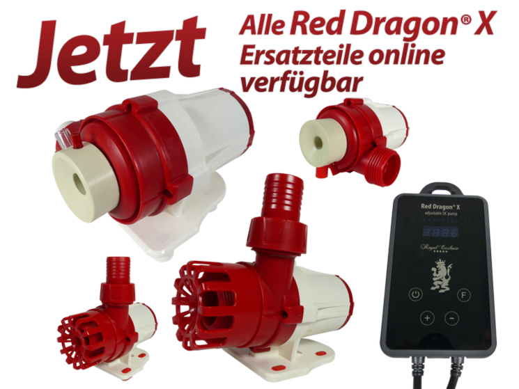 Royal Exclusiv Red Dragon X Ersatzteile verfügbar