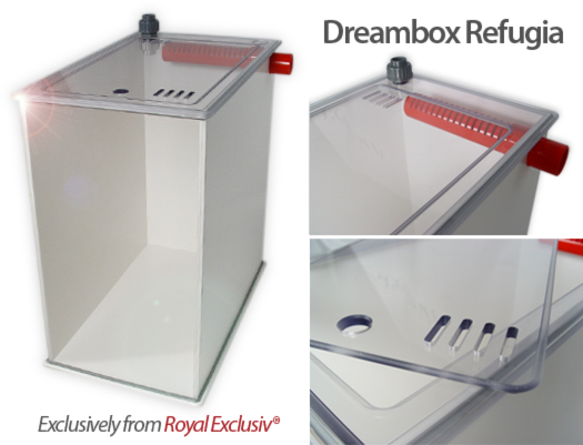 Dreambox Refugia