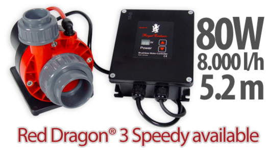 Red Dragon 3 Speedy
