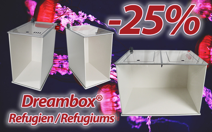 Royal Exclusiv Dreambox refugium reduction 25%