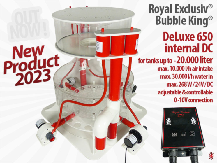 Royal Exclusiv Bubble King DeLuxe 650 / 610 intern DC 24V