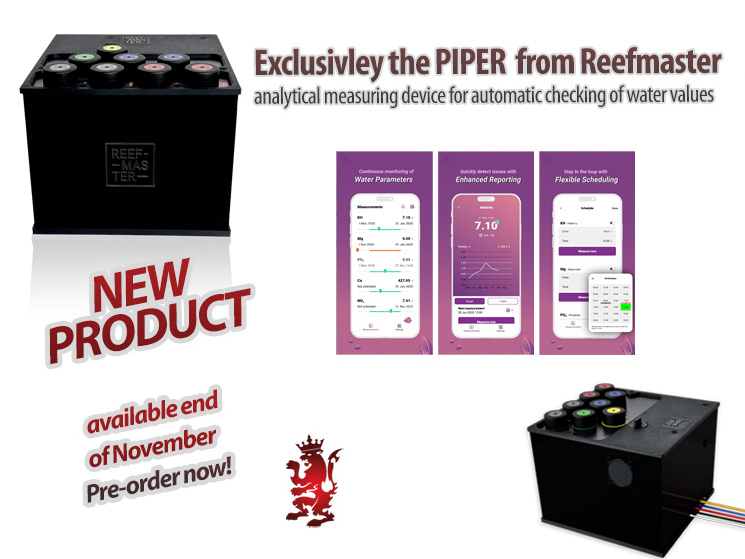 PIPER from REEFMASTER exclusivley at Royal Exclusiv