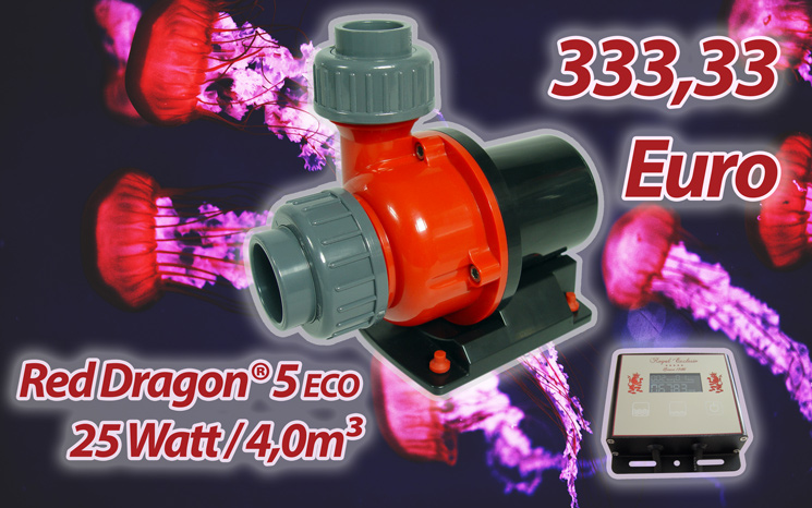 Royal Exclusiv Red Dragon 5 ECO reduction 20%