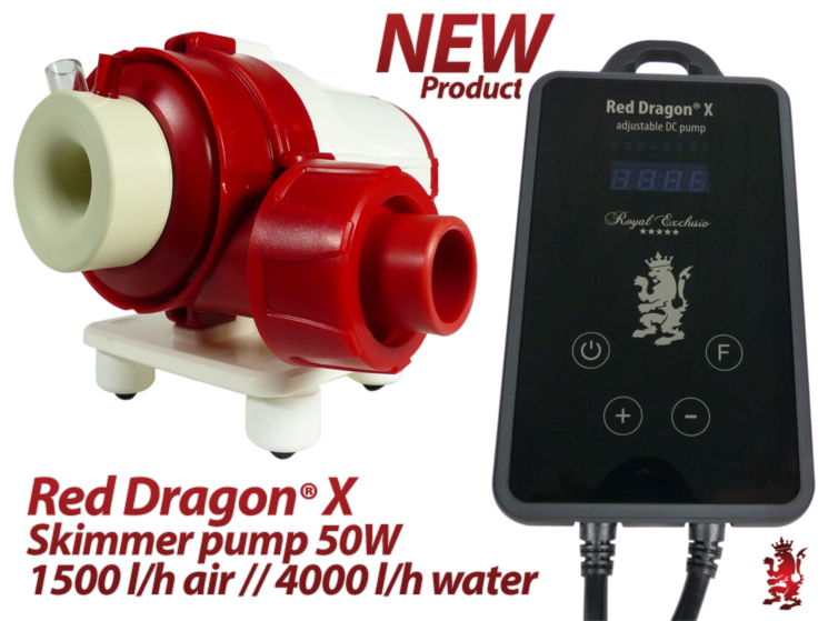 Royal Exclusiv Bubble King Double Cone 180 200 Red Dragon X pump 