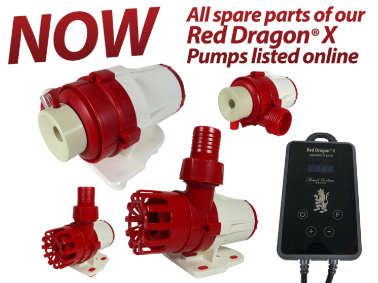 Royal Exclusiv Red Dragon X pumps spare parts available and listed