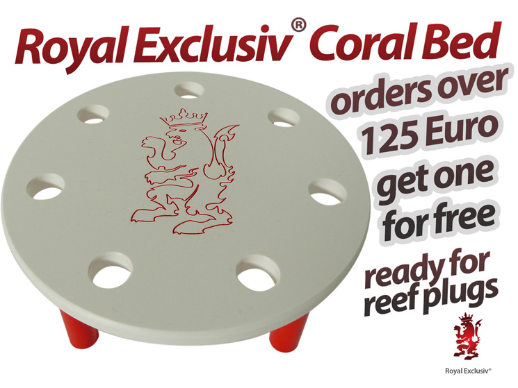 Royal Exclusiv SUMMER 2023 coral bed for free