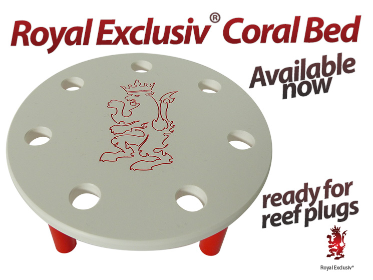 Royal Exclusiv Coral bed holder deck for reef plugs