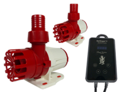 Red Dragon® X Pumpen DC 3-6,5m³