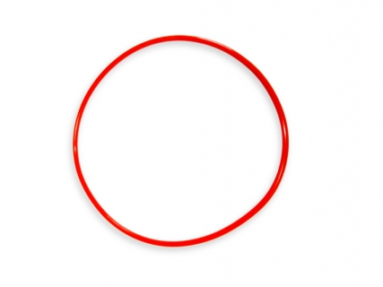 Dichtungsring 90 x 2,5mm RD1 + BKDC24V