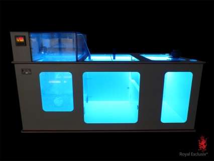 ECO Vlies Dreambox - Filteranlage Gr. M 100 x 49 cm