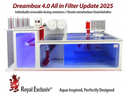 ALL-IN Vlies Dreambox 4.0 - Filteranlage bis zu 2000l Aquarien