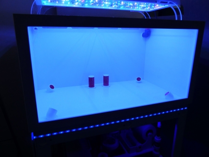 Royal Exclusiv® 400 Liter Hybrid Komplettsystem Aquarium