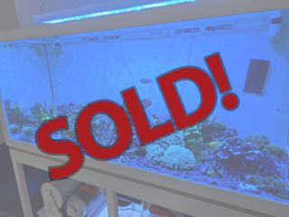 Royal Exclusiv® Hybrid Komplettsystem mit Aquarium und Filter und LED Lampe
