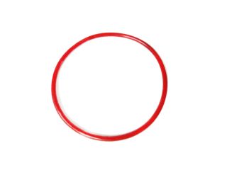 O-ring / Silikondichtung Red Dragon® 5 ECO Pumpe 25Watt 4.000 l/h