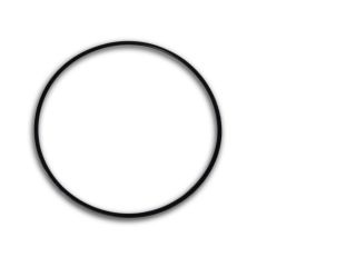 O-Ring Rotor/Laufradeinheit für alle Dreamliner Pumpen 150x3,5mm