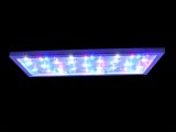 Royal Exclusiv® LED Leuchte RE-LIGHT THREE