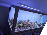 Royal Exclusiv® Hybrid Komplettsystem mit Aquarium und Filter und LED Lampe