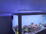 Royal Exclusiv® 650 Liter Hybrid Komplettsystem mit Aquarium
