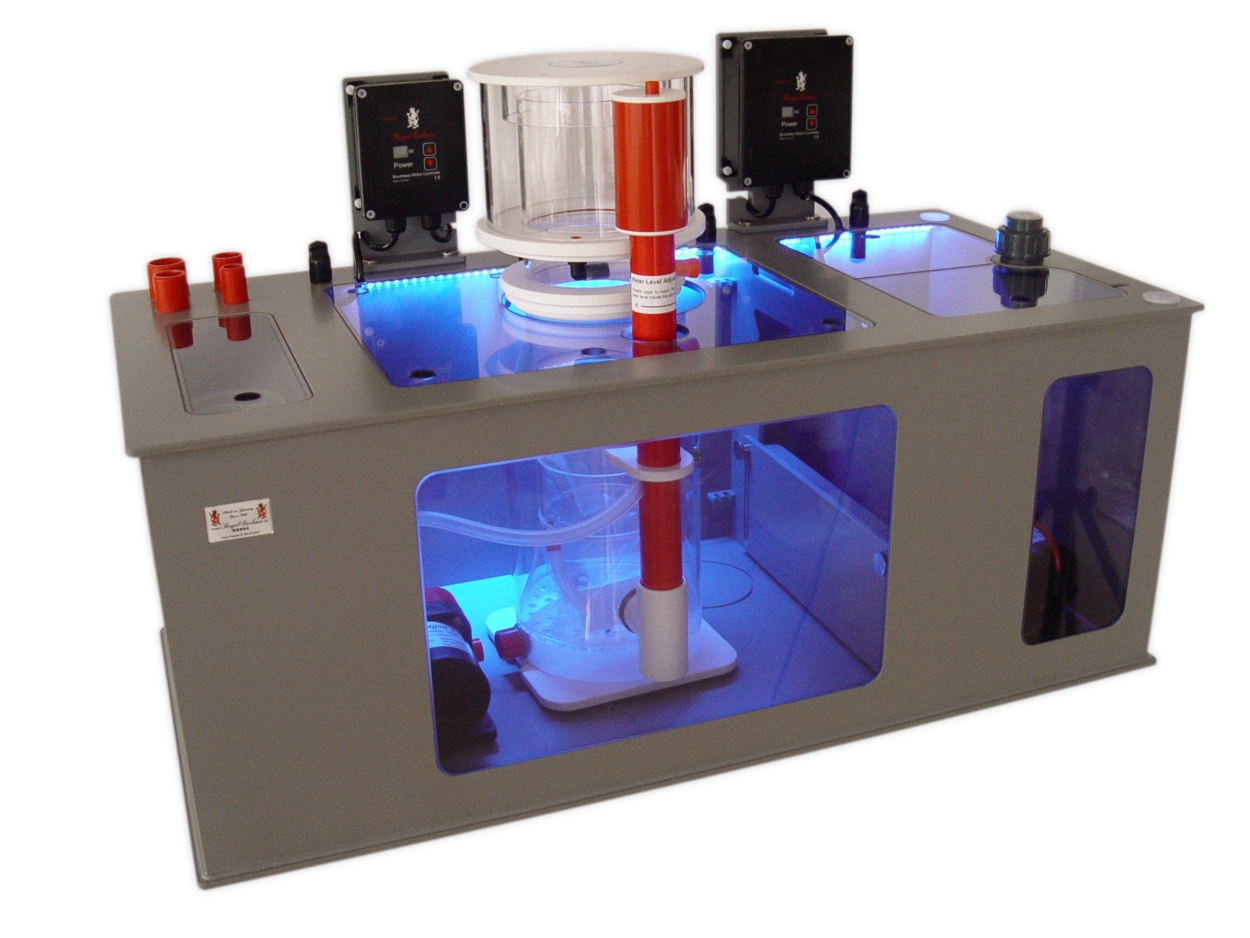 ECO - Dreambox - Beispiel - Set 3d