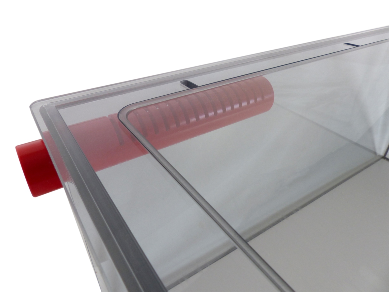 Dreambox - Pool Becken / aquarium 75x60x35cm