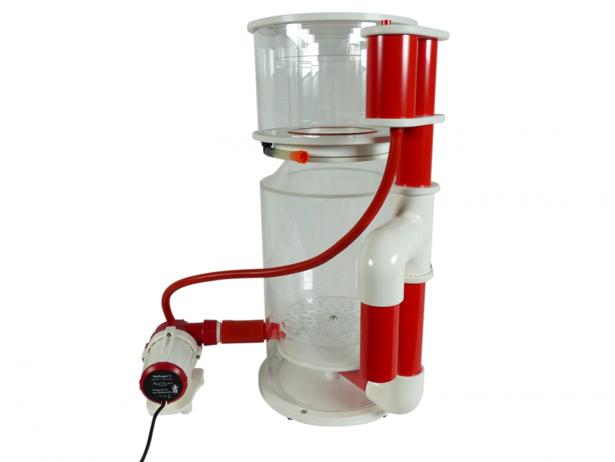 Bubble King® DeLuxe 250 intern + RDX DC 24V