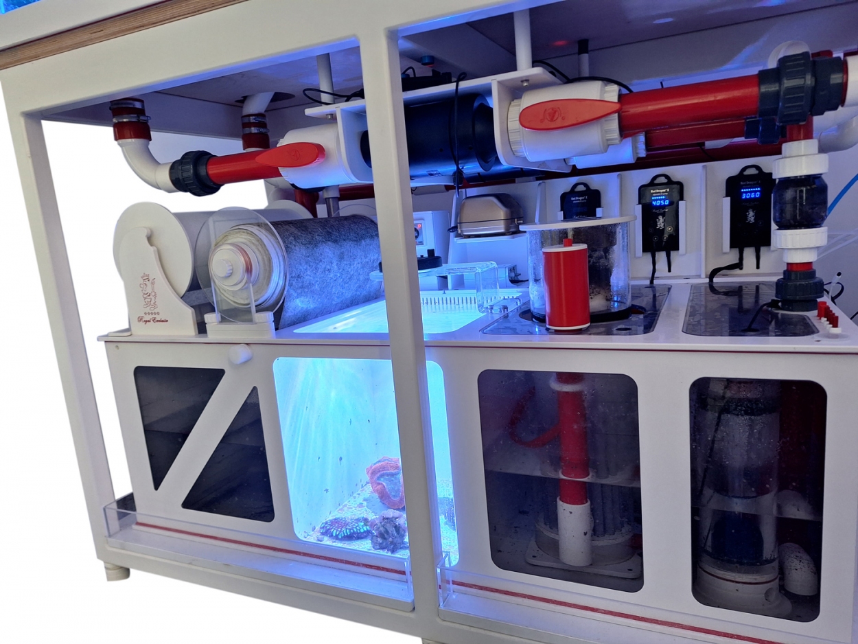 Royal Exclusiv® Hybrid Komplettsystem mit Aquarium und Filter und LED Lampe