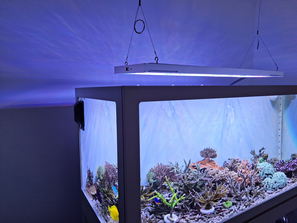 Royal Exclusiv® Hybrid Komplettsystem mit Aquarium und Filter und LED Lampe