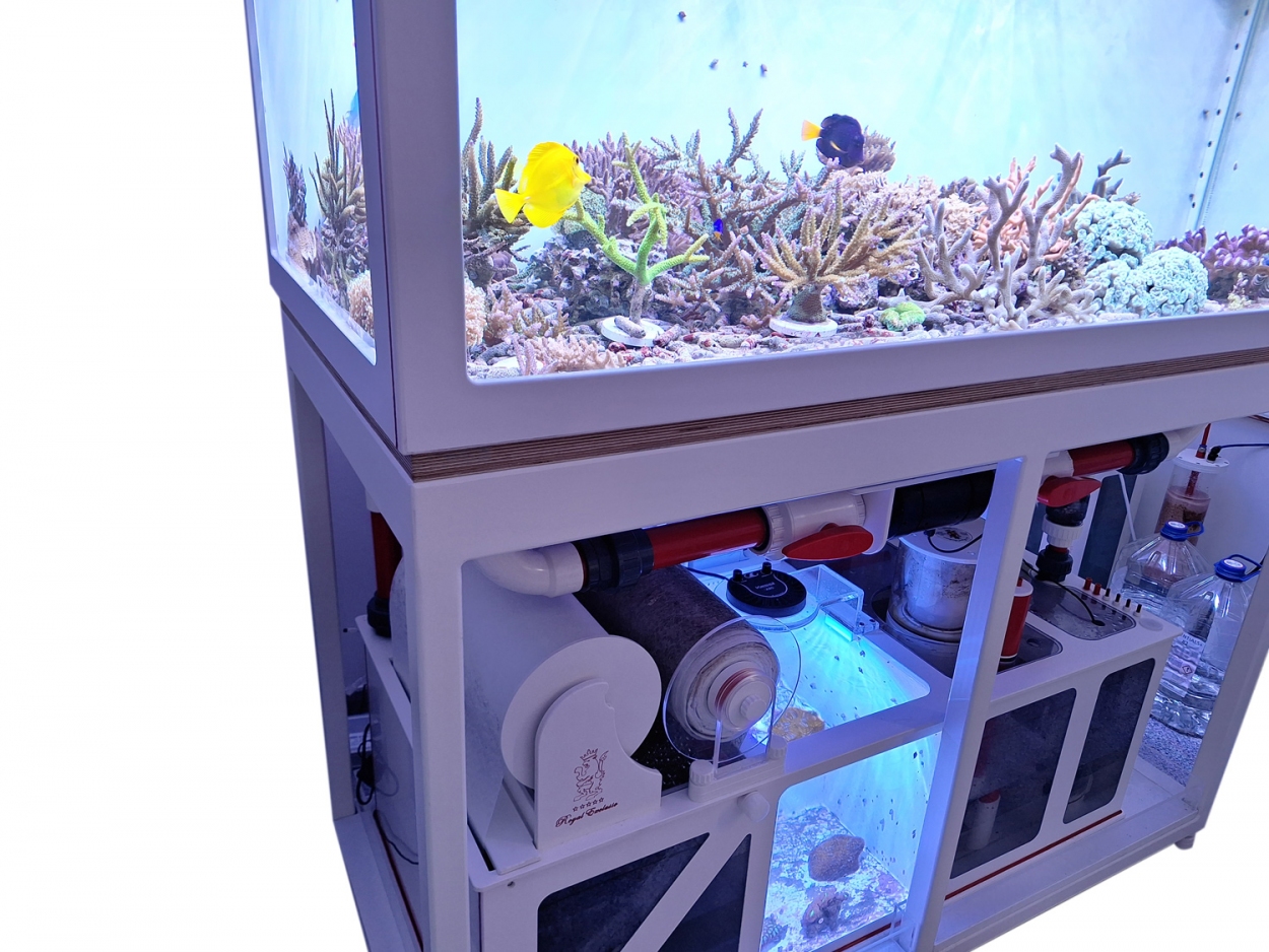 Royal Exclusiv® Hybrid Komplettsystem mit Aquarium und Filter und LED Lampe
