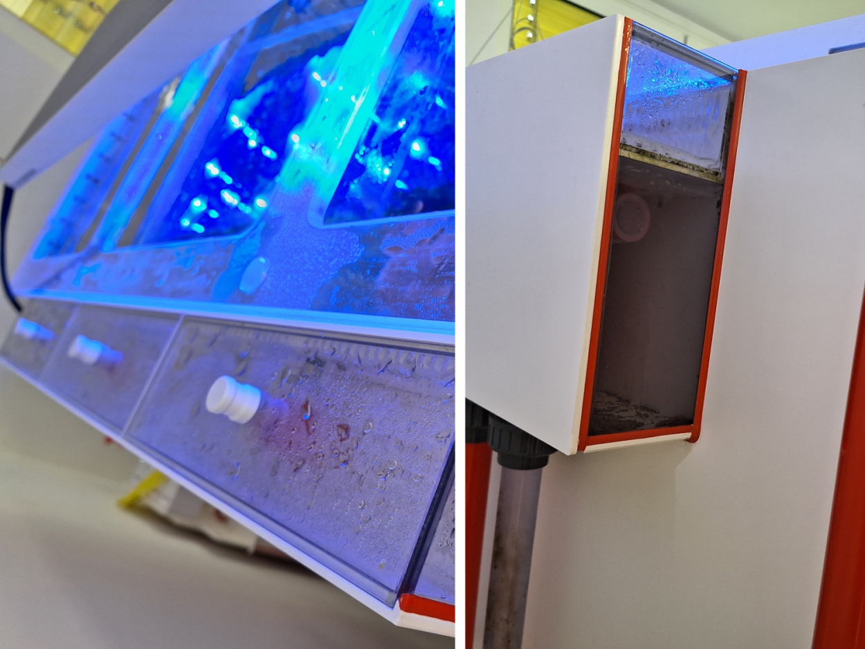 Royal Exclusiv® Hybrid Komplettsystem mit Aquarium und Filter und LED Lampe