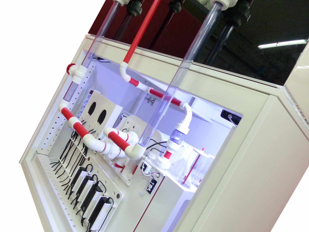 Royal Exclusiv® und New Wave Komplettsystem Gr. M mit Aquarium und Filter