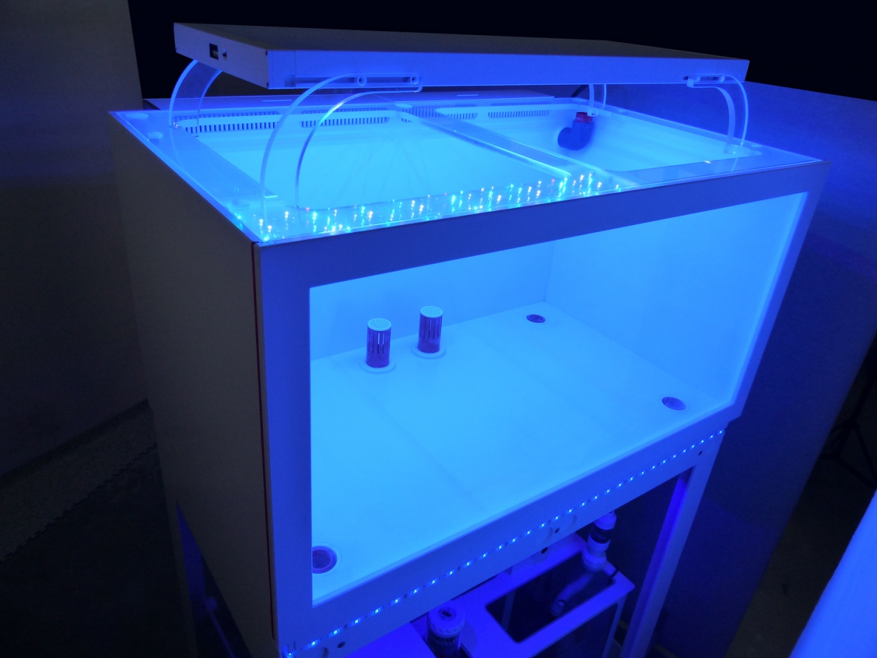 Royal Exclusiv® 300 Liter Hybrid Komplettsystem Aquarium