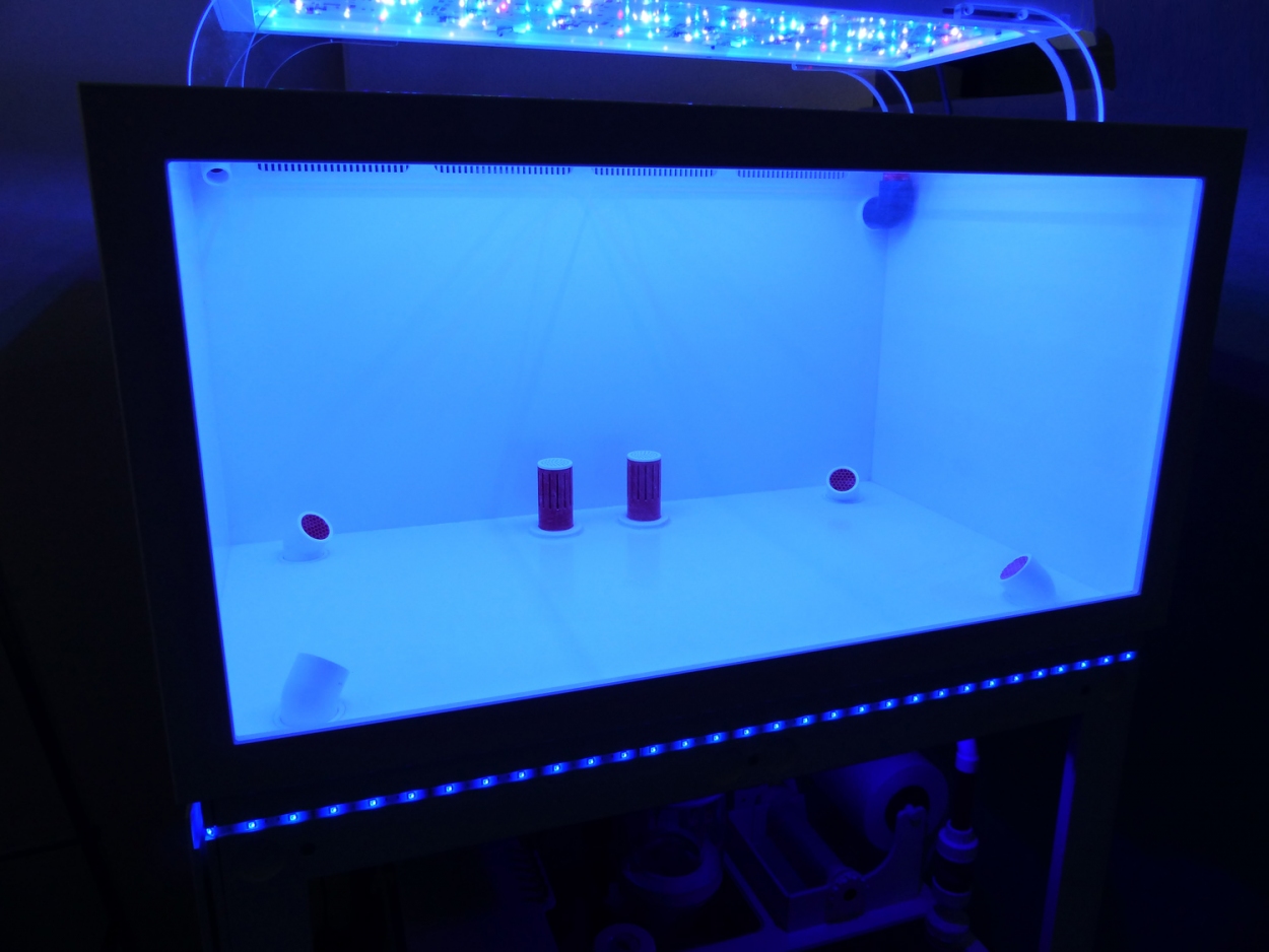 Royal Exclusiv® 300 Liter Hybrid Komplettsystem Aquarium