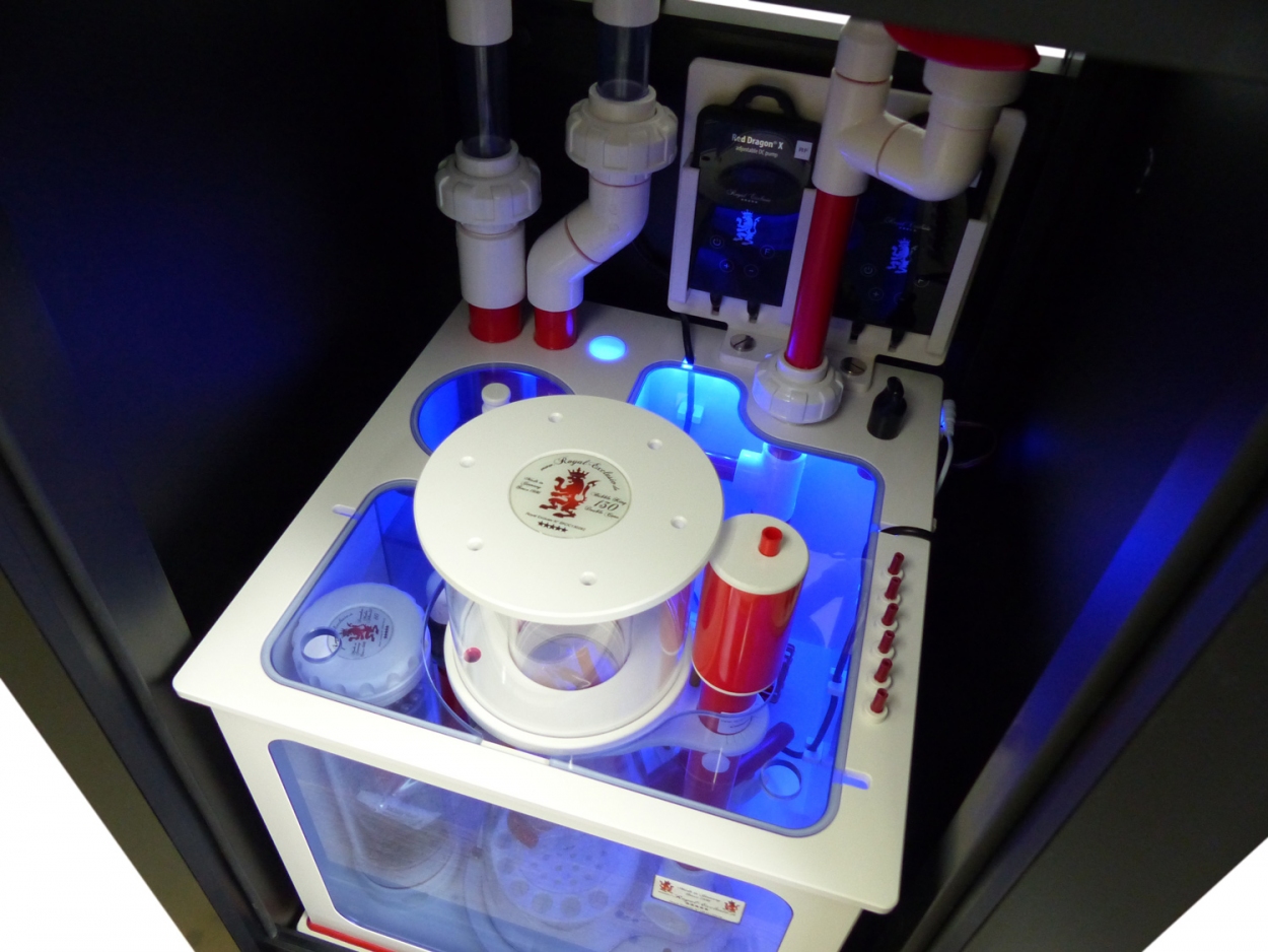 Royal Exclusiv® Nano 125 Liter Hybrid Komplettsystem Aquarium