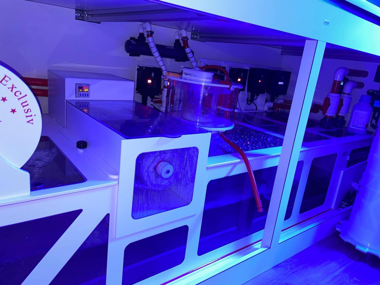 MOTOR für AQUADRIVER® SkimClean HELIX automatischer Abschäumer - Topfreiniger