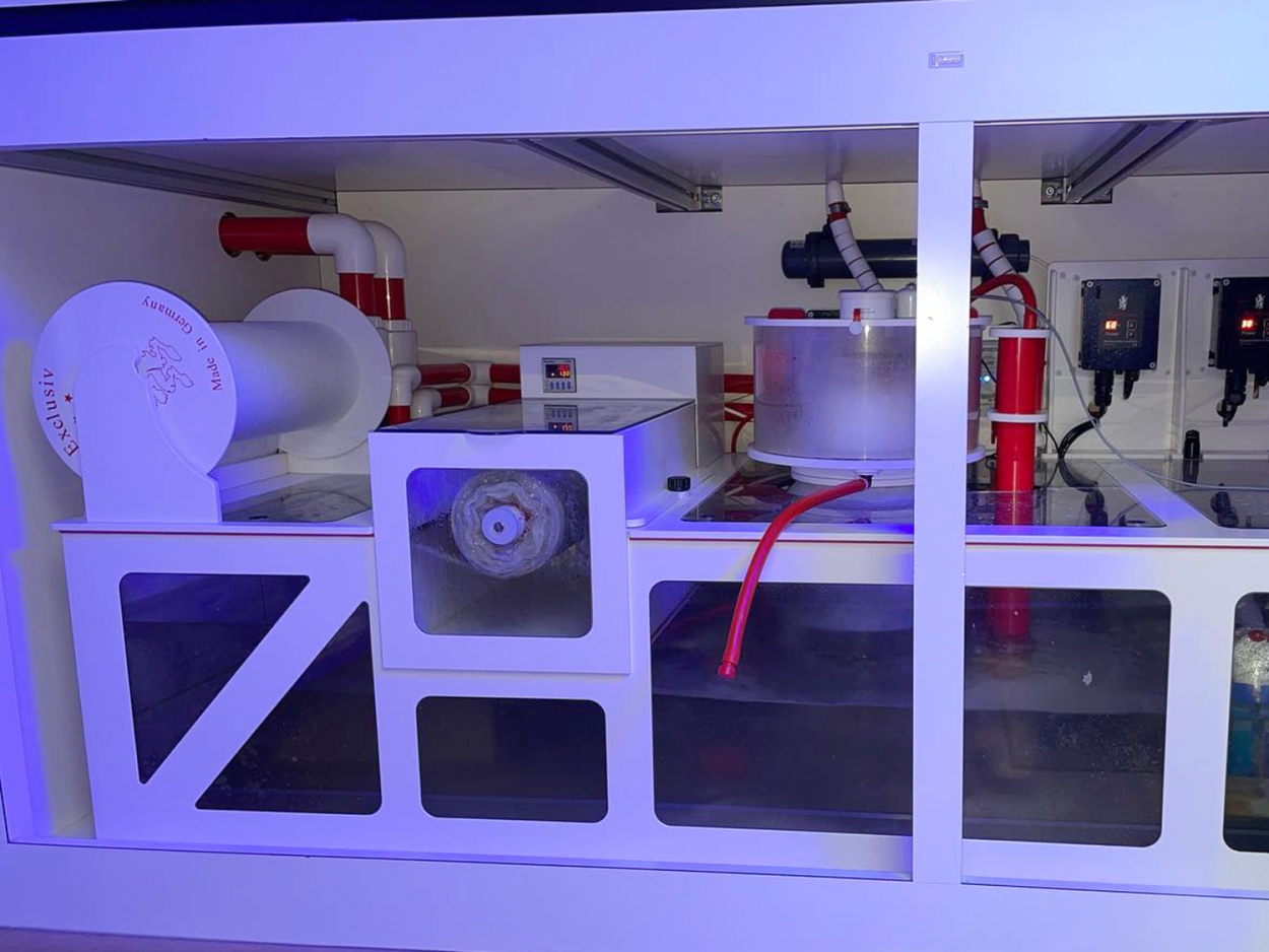 MOTOR für AQUADRIVER® SkimClean HELIX automatischer Abschäumer - Topfreiniger