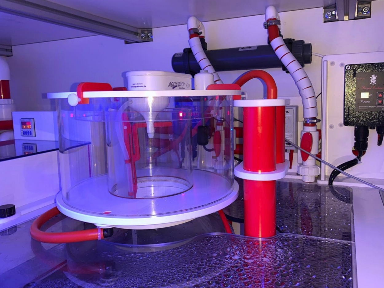 MOTOR für AQUADRIVER® SkimClean HELIX automatischer Abschäumer - Topfreiniger