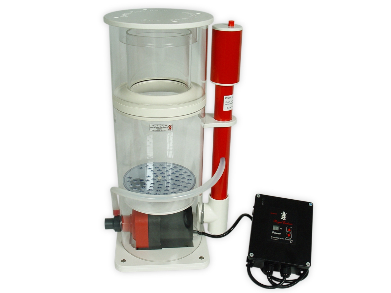 Abschäumerbody Mini Bubble King 200 VS13 RD3 / modifiziert