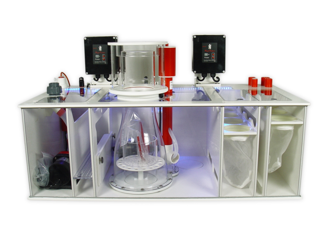 Dreambox - Beispiel - Set 3b - spiegelverkehrt