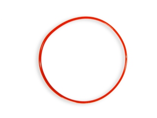 Dichtungsring 60 x 2,5mm Dichtungsring 60 x 2,5mm