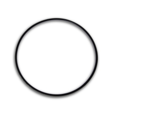 O-Ring Rotor/Laufradeinheit für alle Dreamliner Pumpen 150x3,5mm O-Ring Rotor/Laufradeinheit für alle Dreamliner Pumpen 150x3,5mm